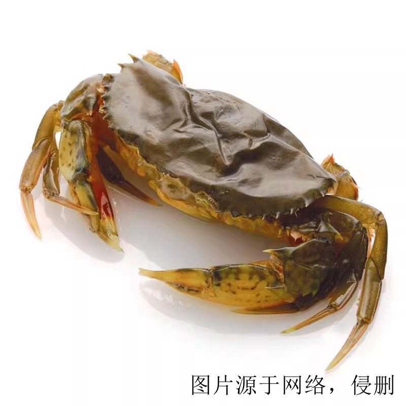 馬來西亞青蟹進口清關流程 馬來西亞青蟹進口清關流程